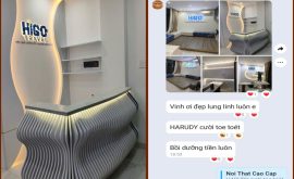 Thiết Kế Văn Phòng